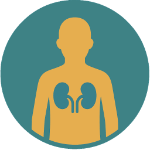 Chronic Kidney Disease